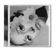 files/199957933858.png