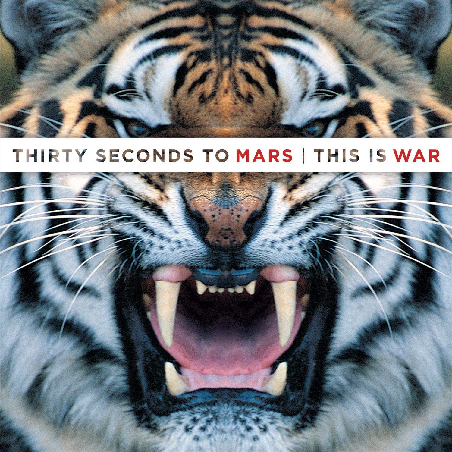 THIS IS WAR - THIRTY SECONDS TO MARS 
