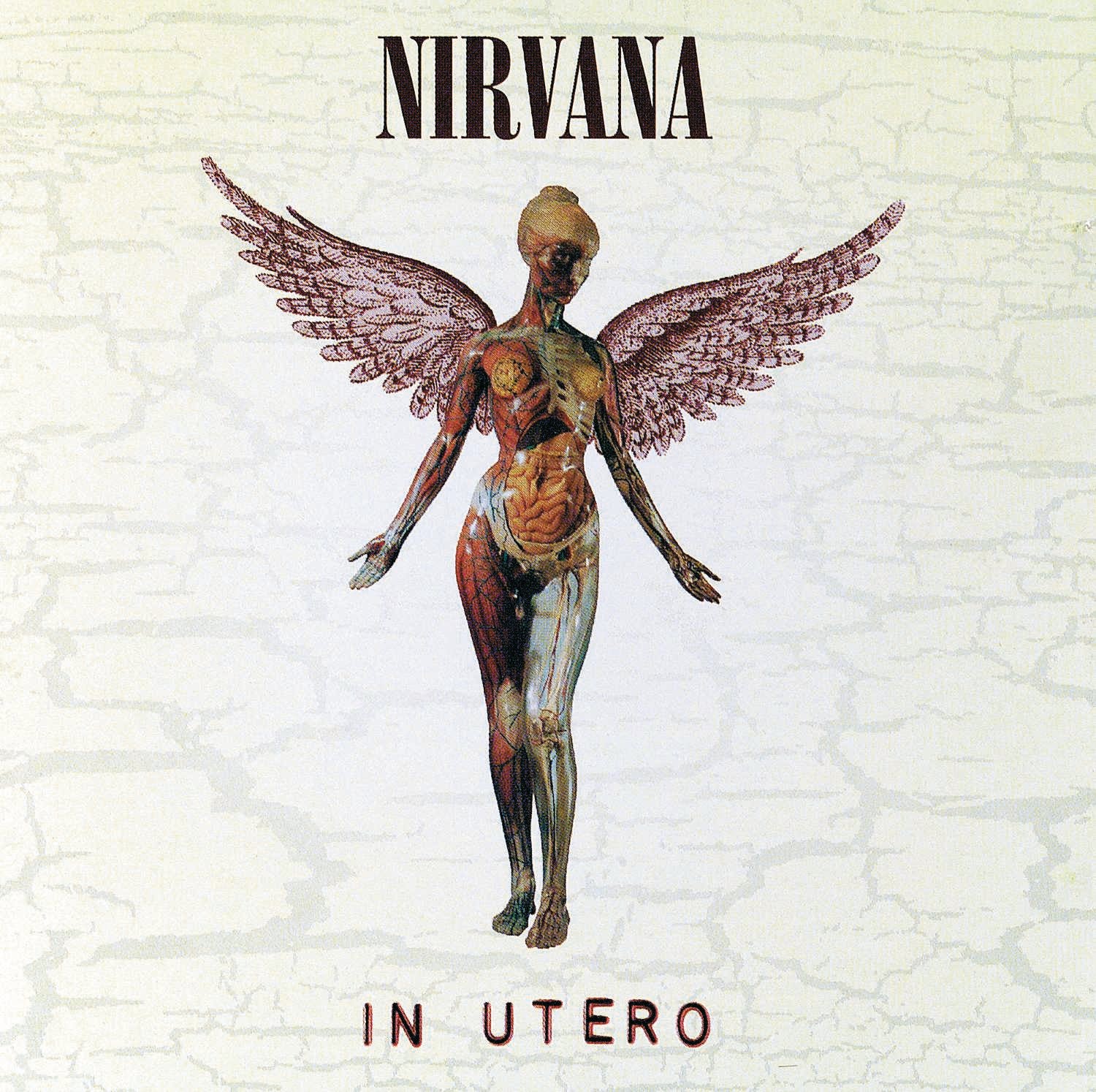 In Utero - 20th Anniversary Remaster - Nirvana 